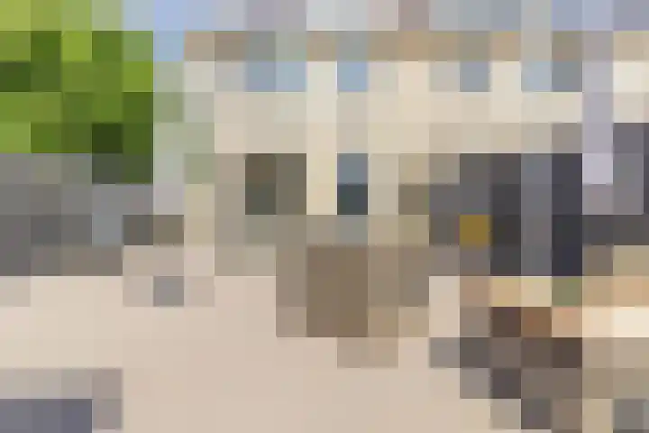 Paukenslag 1 Klaaswaal thumbnail 13