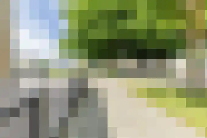 Paukenslag 1 Klaaswaal thumbnail 19