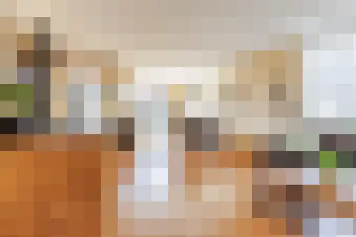 Paukenslag 1 Klaaswaal foto 2