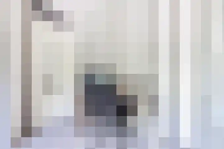 Paukenslag 1 Klaaswaal thumbnail 28