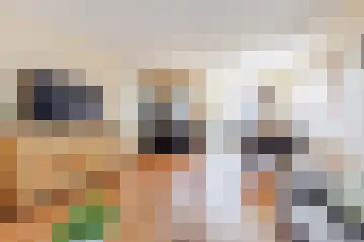 Paukenslag 1 Klaaswaal foto 3