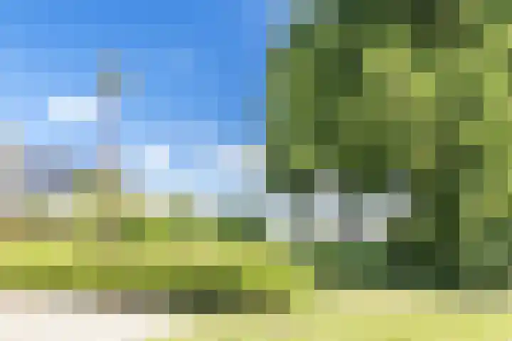Paukenslag 1 Klaaswaal thumbnail 34