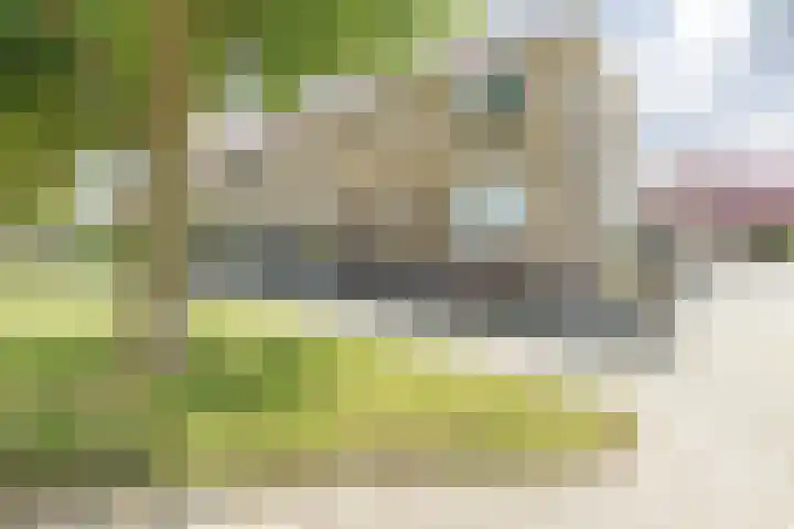 Paukenslag 1 Klaaswaal thumbnail 38
