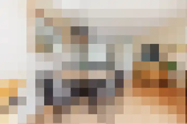 Paukenslag 1 Klaaswaal thumbnail 5