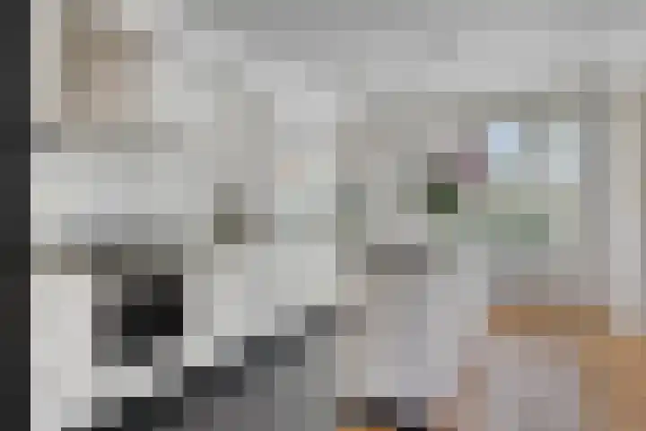 Paukenstraat 20 Eindhoven thumbnail 10