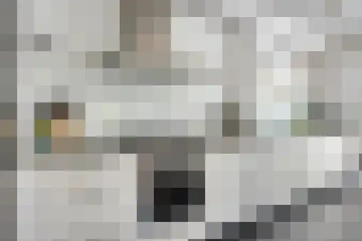 Paukenstraat 20 Eindhoven thumbnail 11