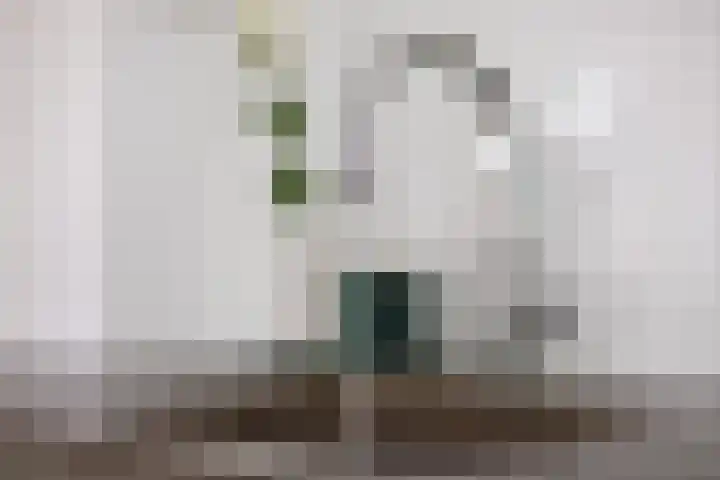 Paukenstraat 20 Eindhoven thumbnail 12