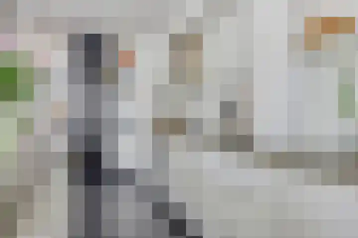 Paukenstraat 20 Eindhoven thumbnail 13