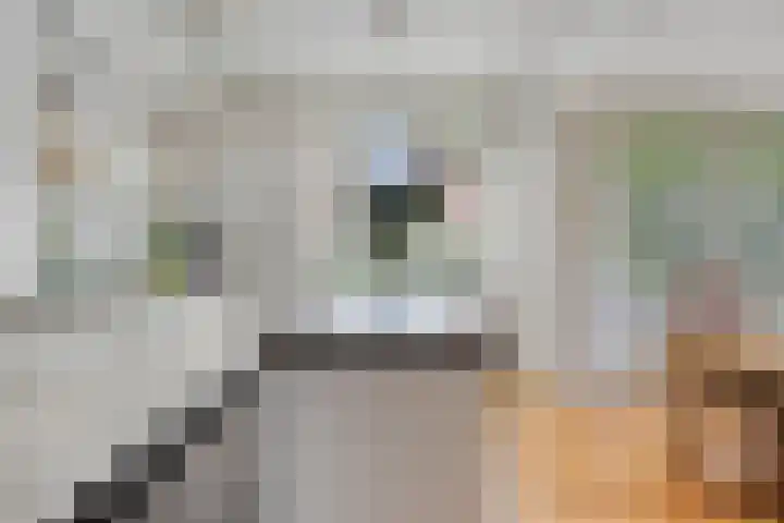 Paukenstraat 20 Eindhoven thumbnail 14