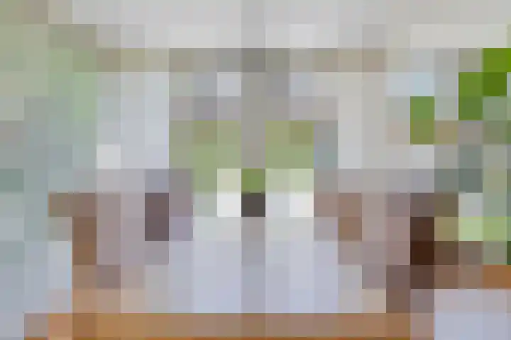 Paukenstraat 20 Eindhoven thumbnail 17