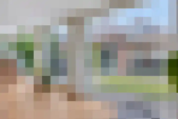 Paukenstraat 20 Eindhoven thumbnail 20