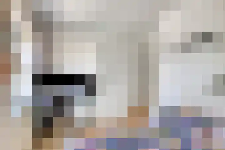 Paukenstraat 20 Eindhoven thumbnail 24
