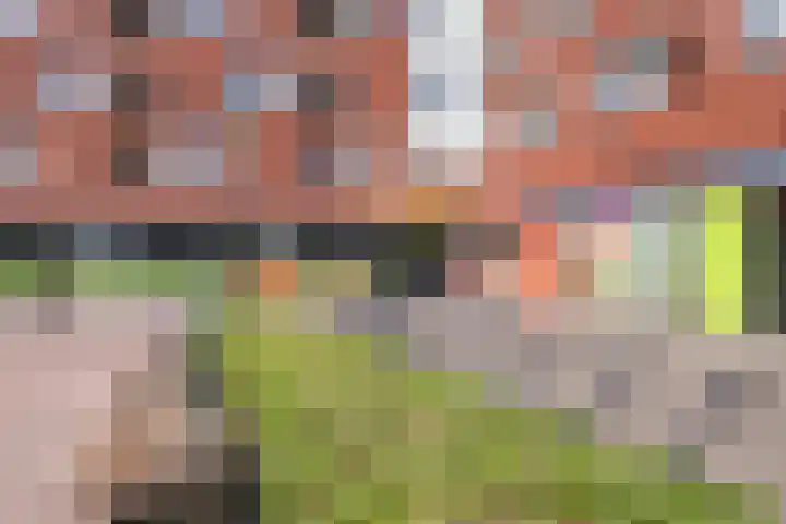 Paukenstraat 20 Eindhoven thumbnail 46