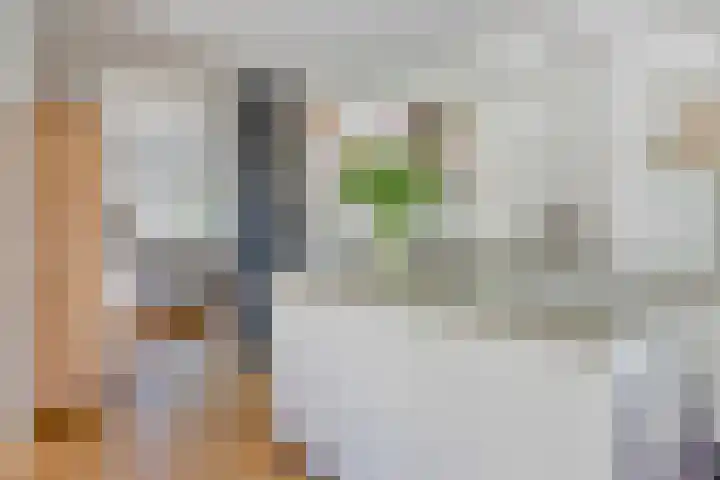Paukenstraat 20 Eindhoven thumbnail 9