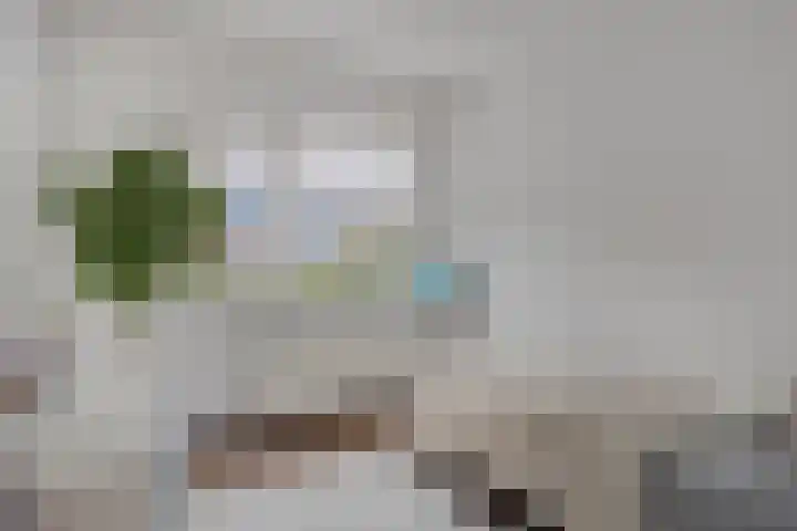 Paukenstraat 25 Eindhoven thumbnail 14