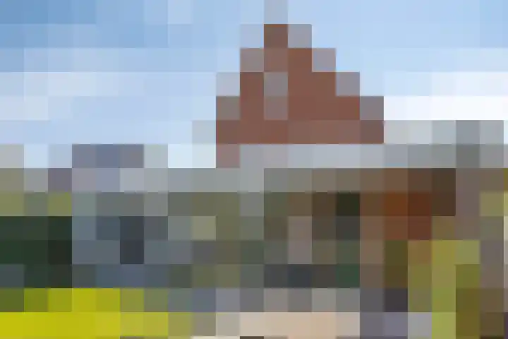 Paukenstraat 25 Eindhoven thumbnail 18