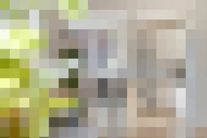 Paukenstraat 25 Eindhoven thumbnail 6
