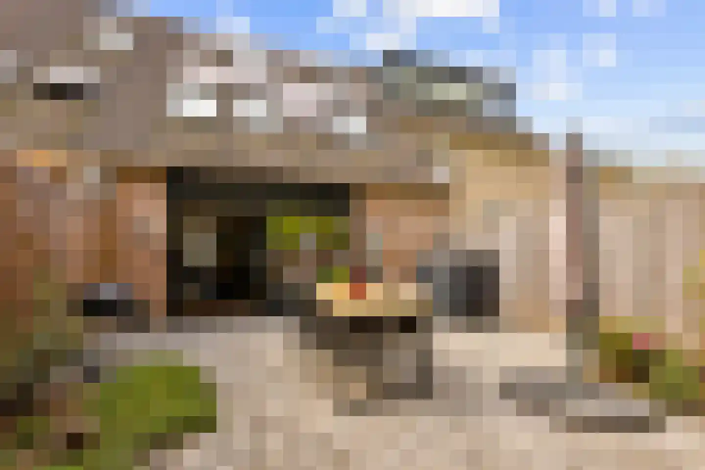 Paukenstraat 26 Almere thumbnail 50