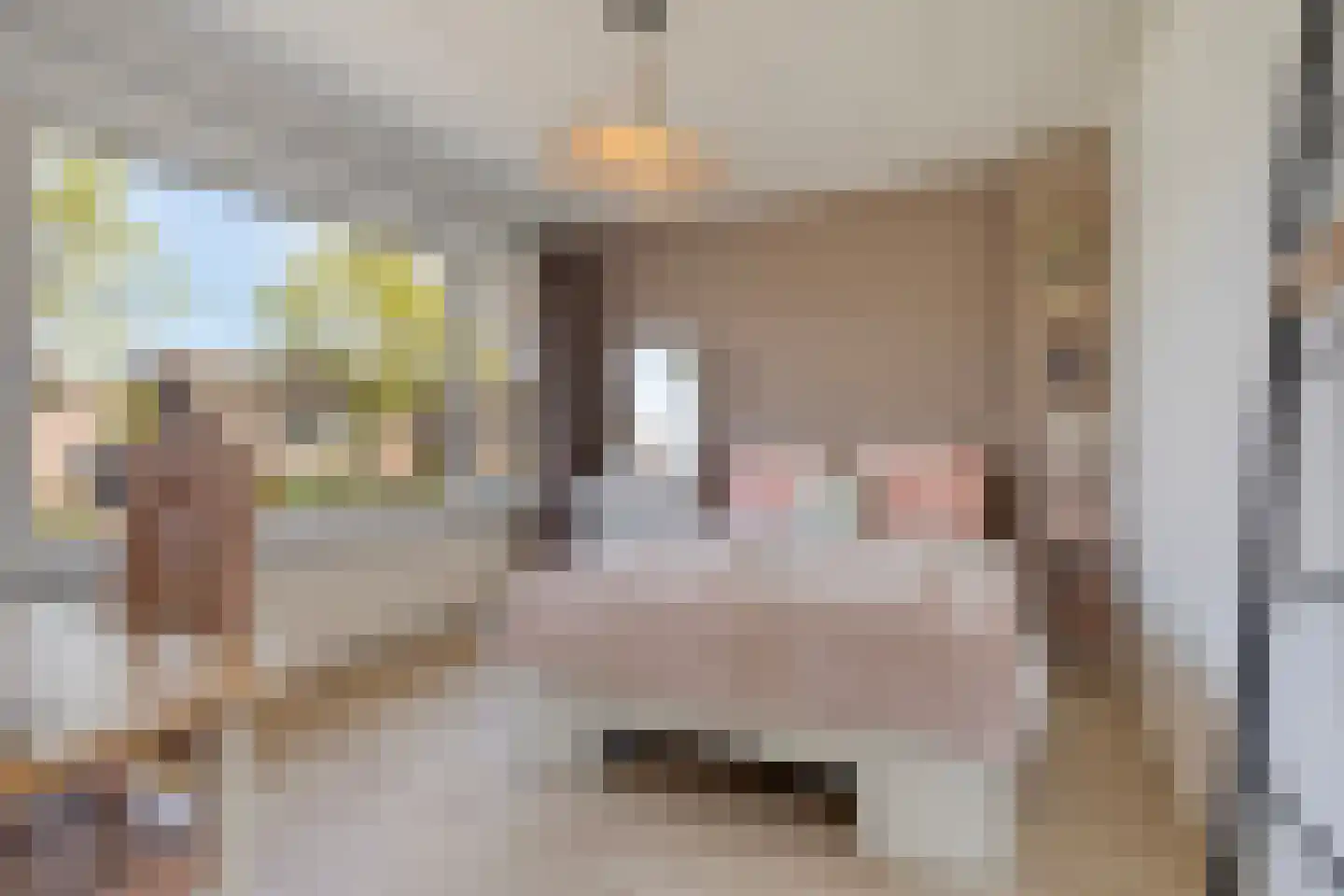 Paukenstraat 61 Uden thumbnail 26