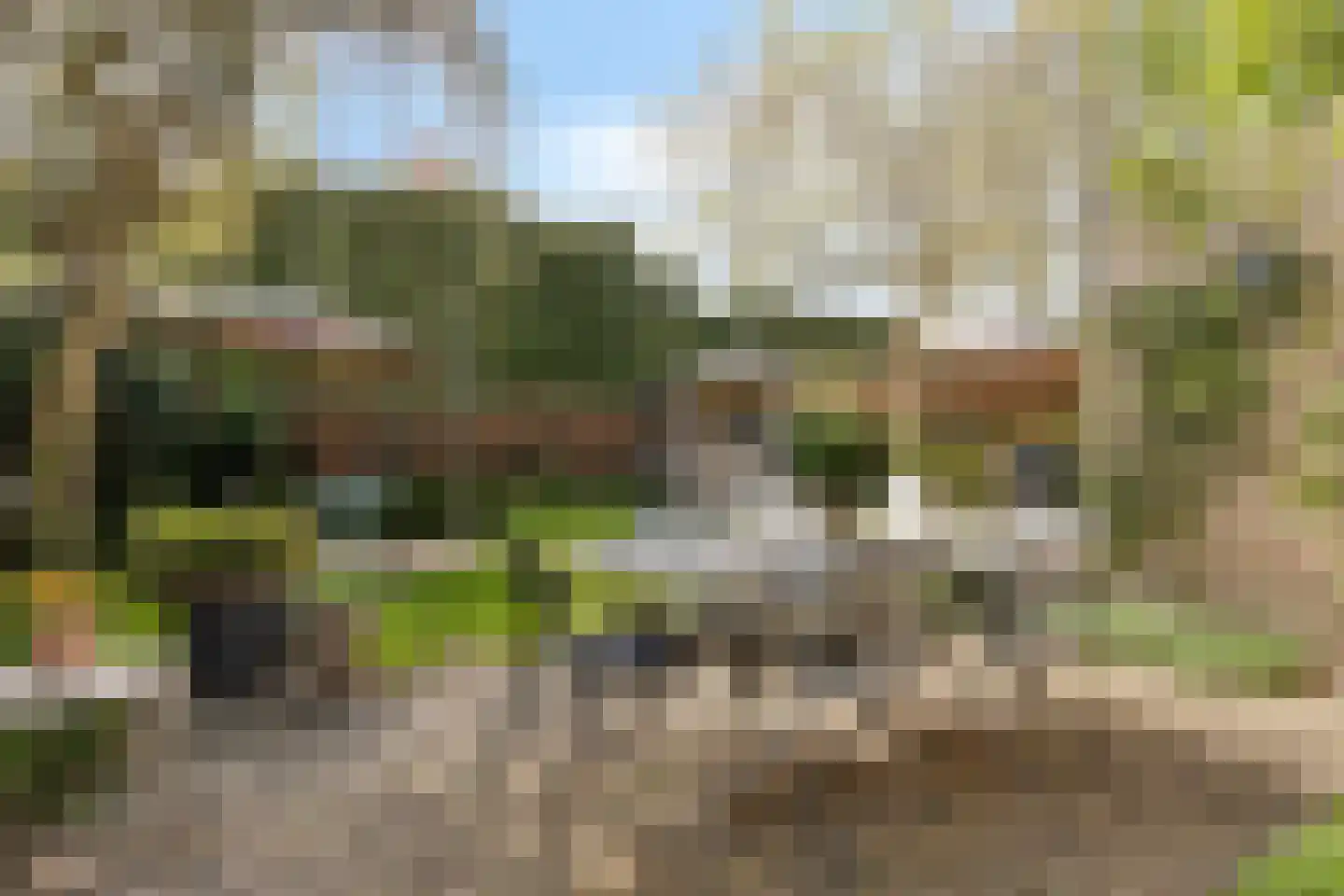 Paukenstraat 61 Uden thumbnail 31