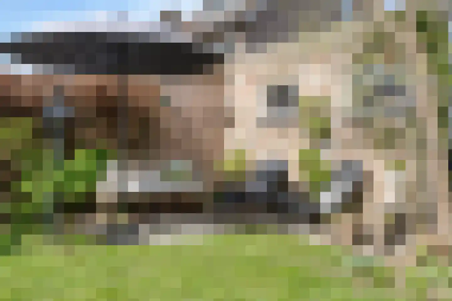 Paukenstraat 61 Uden thumbnail 33