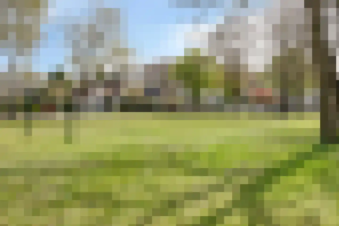 Paukenstraat 61 Uden thumbnail 37