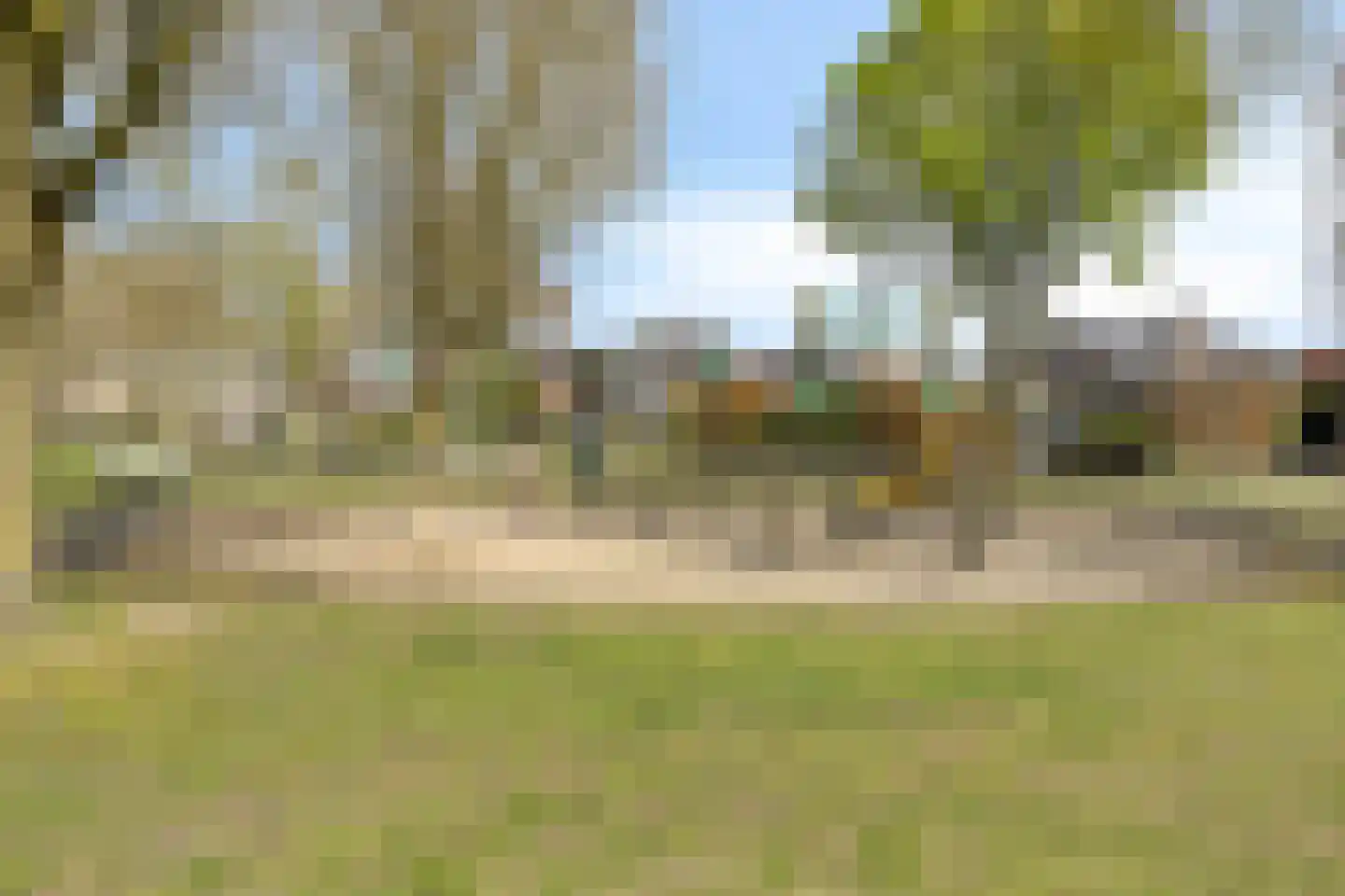 Paukenstraat 61 Uden thumbnail 38