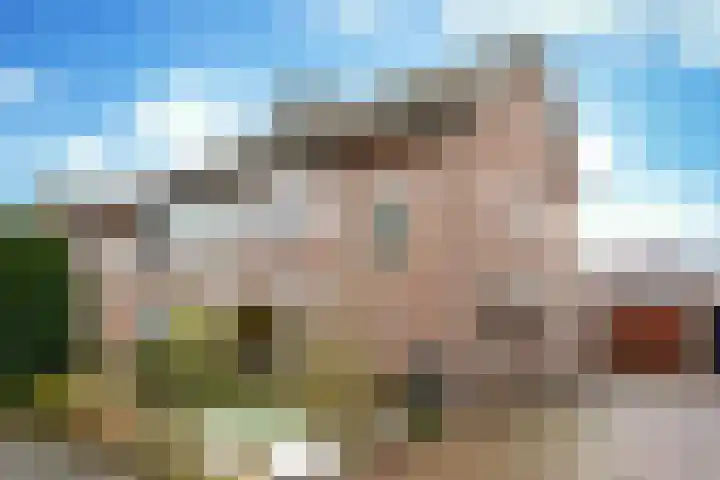 Paukenstraat 74 Uden thumbnail 4
