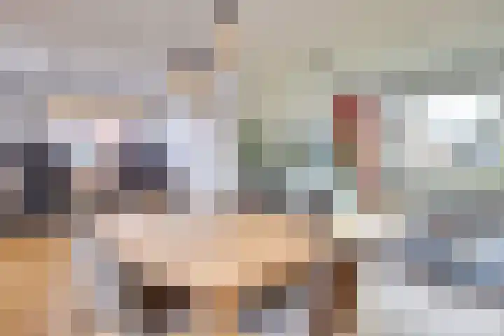 Paukenstraat 74 Uden thumbnail 8