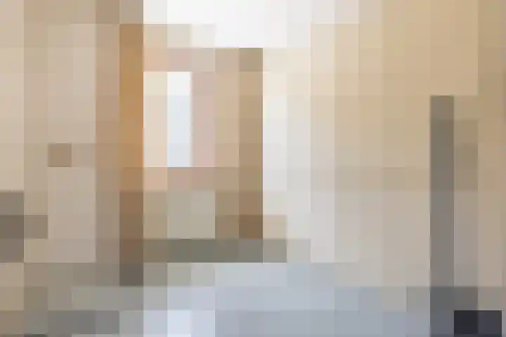 Paukenstraat 79 Uden thumbnail 22