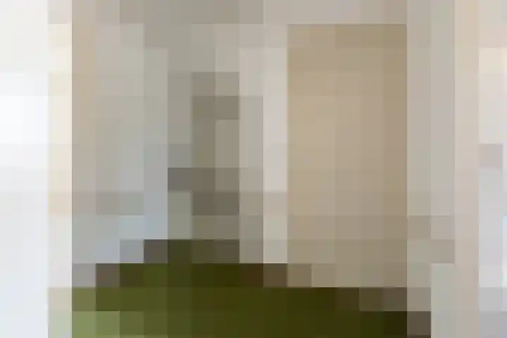 Paukenstraat 79 Uden thumbnail 33