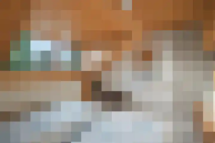 Paukenstraat 81 Uden thumbnail 25