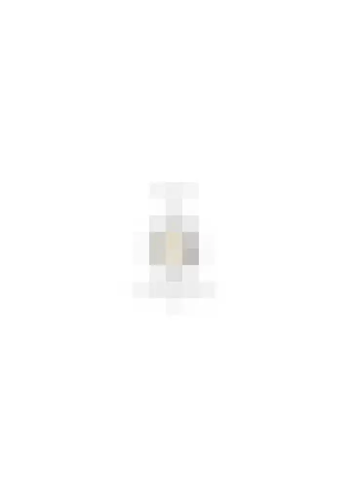 Paukenstraat 81 Uden thumbnail 36