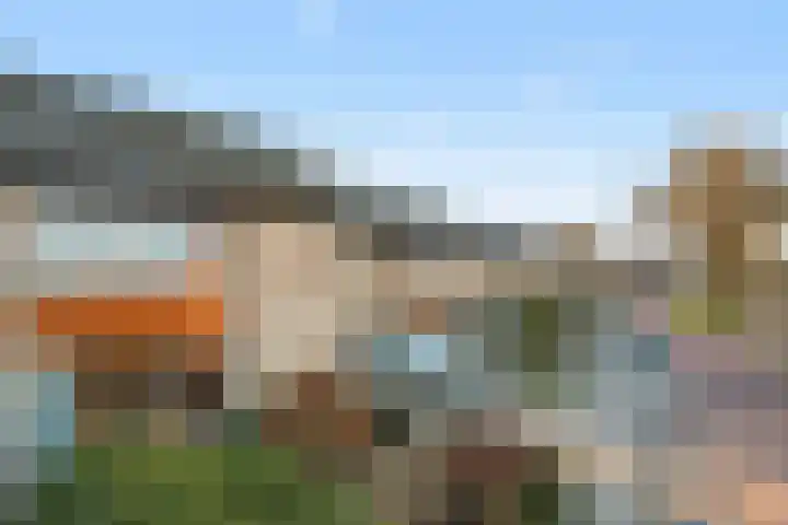 Paukenstraat 81 Uden thumbnail 4