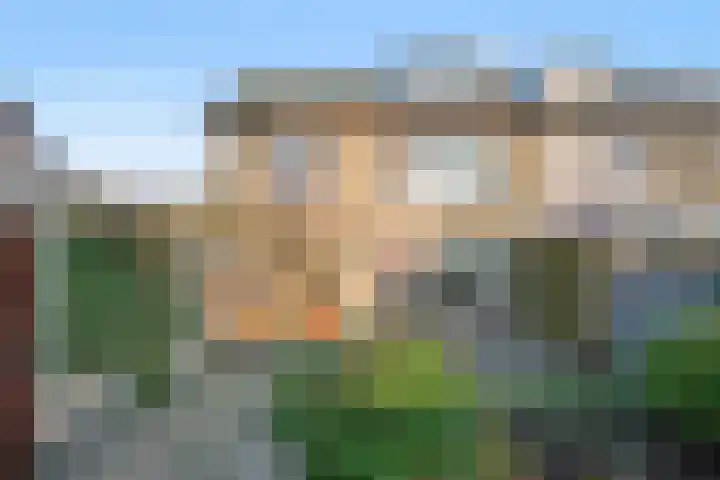 Paukenstraat 81 Uden thumbnail 6