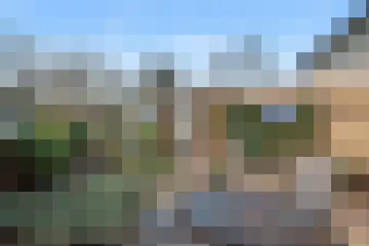 Paukenstraat 81 Uden thumbnail 7
