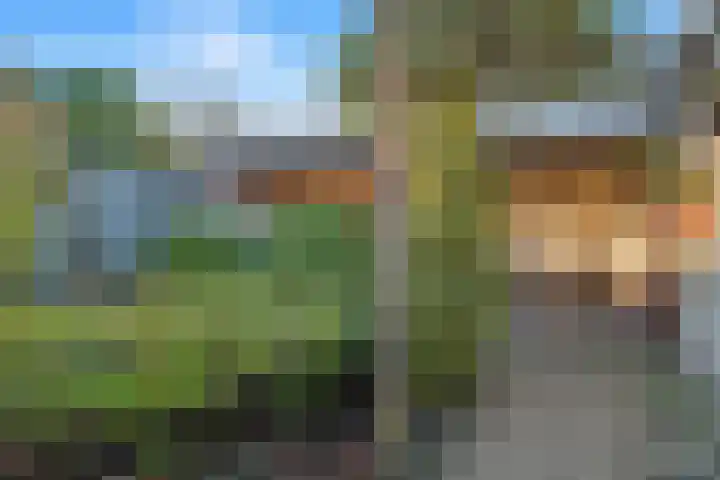 Paukenstraat 81 Uden thumbnail 8