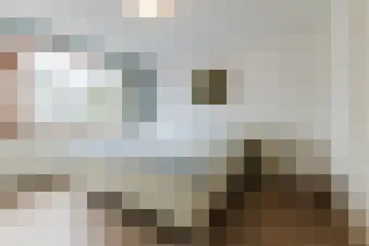Paukenstraat 83 Uden thumbnail 17