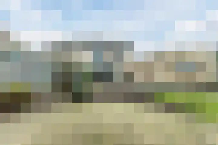Paukenstraat 83 Uden thumbnail 25