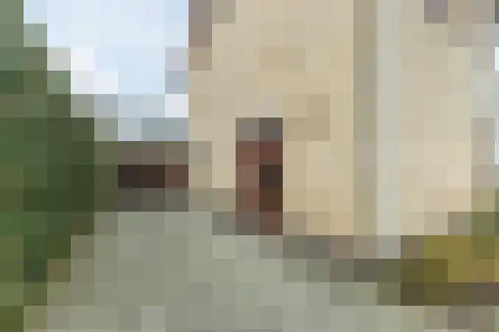 Paukenstraat 83 Uden thumbnail 6