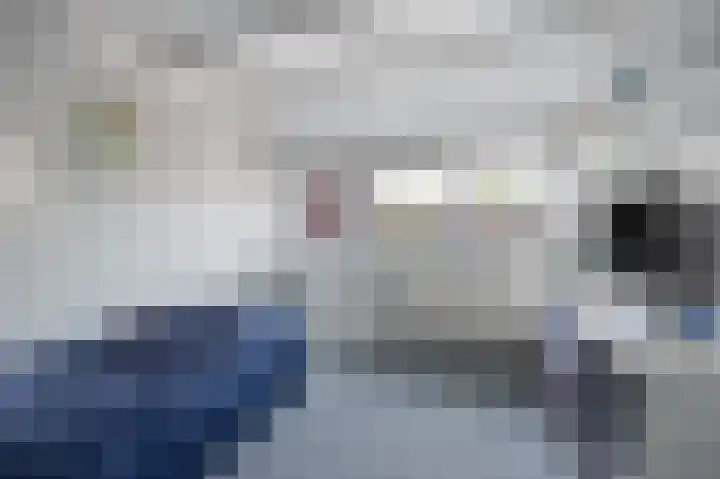 Paukeslag 27 Etten-Leur thumbnail 20