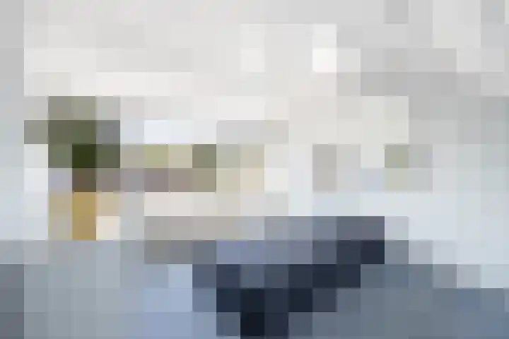 Paukeslag 27 Etten-Leur thumbnail 31
