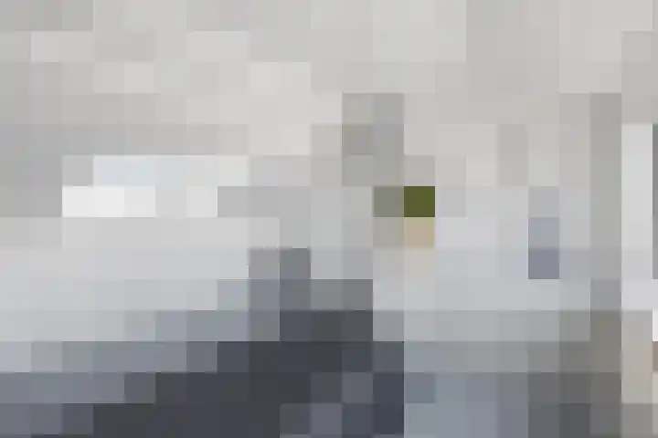 Paukeslag 27 Etten-Leur thumbnail 32
