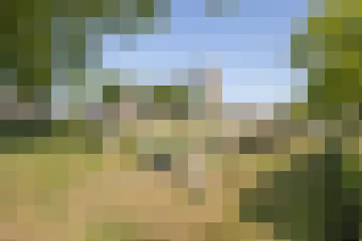 Paukeslag 27 Etten-Leur thumbnail 40