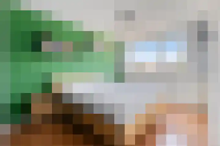 Paukeslag 40 Etten-Leur thumbnail 24