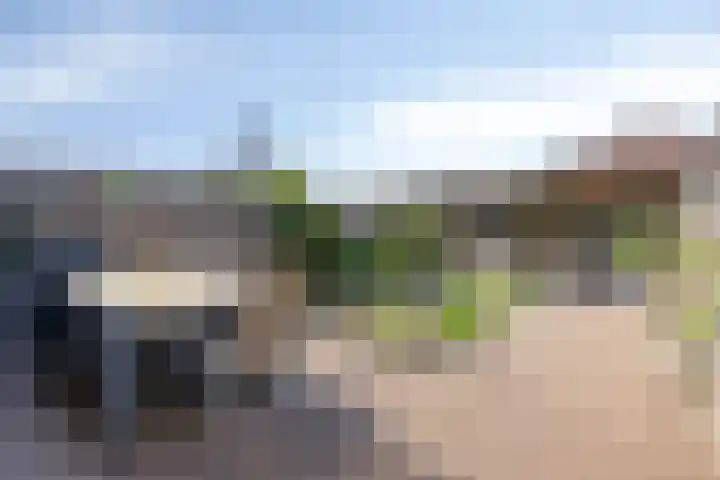 Paukeslag 40 Etten-Leur thumbnail 34