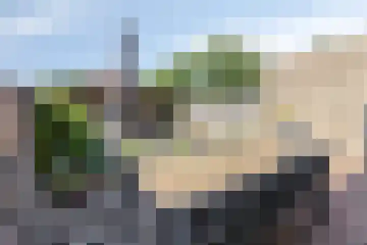 Paukeslag 40 Etten-Leur thumbnail 35