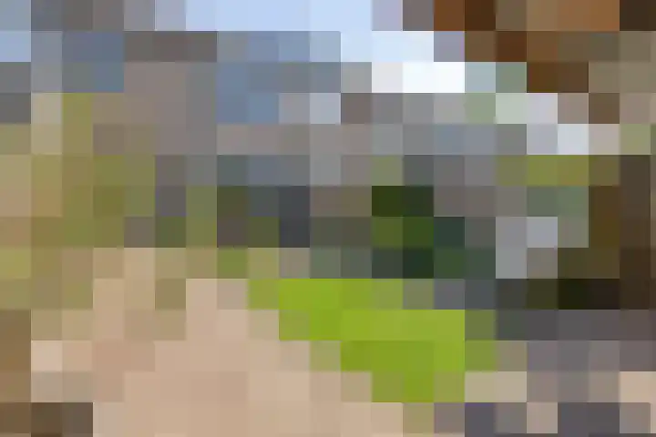 Paukeslag 40 Etten-Leur thumbnail 36