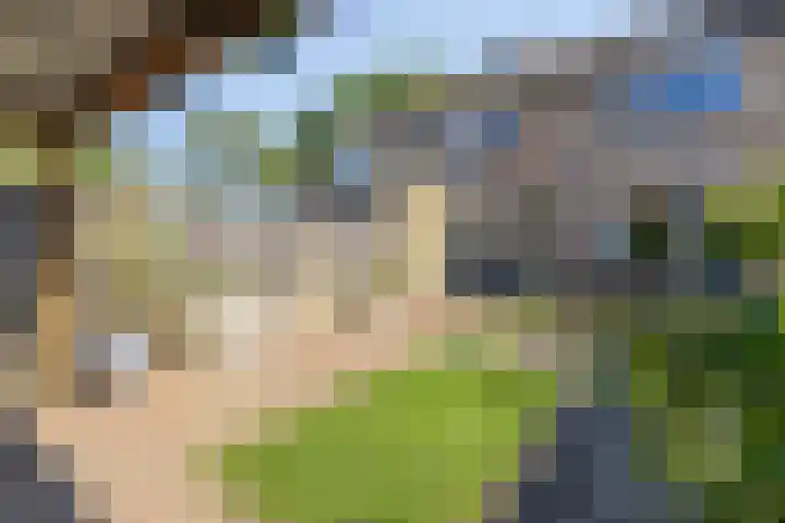 Paukeslag 40 Etten-Leur thumbnail 38