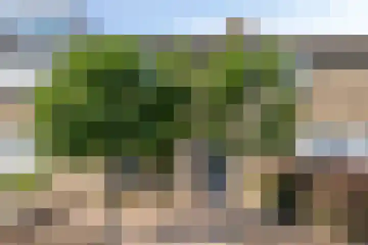 Paukeslag 40 Etten-Leur thumbnail 43